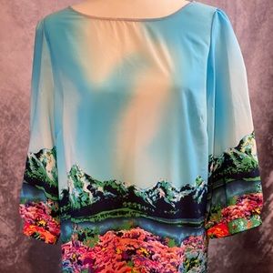 Pink Owl landscape print 3/4 sleeve blouse